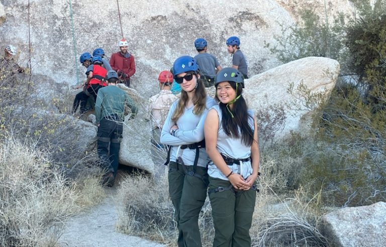 2024 Joshua Tree Camping
